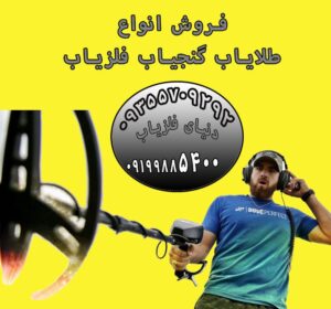 کشف گنج با فلزیاب