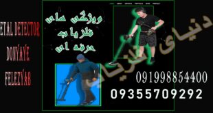 فلزیاب حرفه ای چه ویژگی هایی دارد