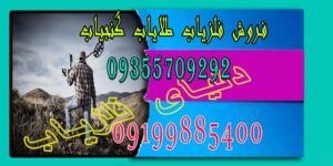 جدیدترین فلزیاب های بازار