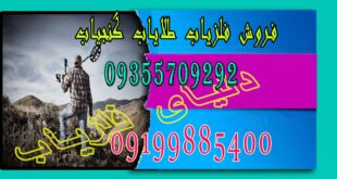 جدیدترین فلزیاب های بازار