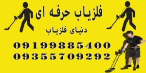 فلزیاب حرفه ای