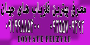 معرفی بهترین فلزیاب های جهان