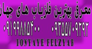 معرفی بهترین فلزیاب های جهان