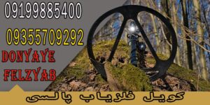 کویل فلزیاب پالسی