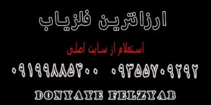 ارزانترین فلزیاب