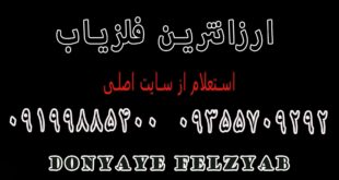 ارزانترین فلزیاب