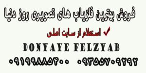 فلزیاب تصویری دنیای روز