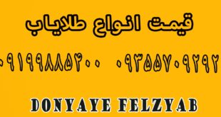 قیمت دستگاه طلایاب