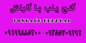 گنج یاب با گارانتی