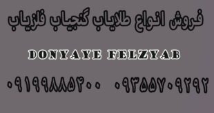 فلزیاب TESORO MOJAVE