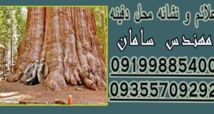 علائم و نشانه‌ محل دفینه