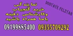 منطبق نمودن منطقه مورد کاوش با نسخه