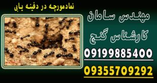 نقش مورچه در گنج و دفینه