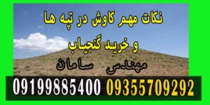 نکات مهم کاوش در تپه ها