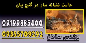 حالت نشانه مار در گنج یابی