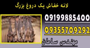 لانه خفاش یک دروغ بزرگ