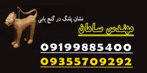 معنی و مفهوم نماد پلنگ در گنج یابی و دفینه یابی