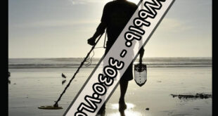 بهترین ردیاب فلزات: ردیاب ورولف