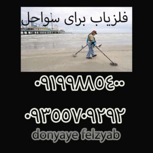 فلزیاب برای سواحل