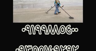 فلزیاب برای سواحل